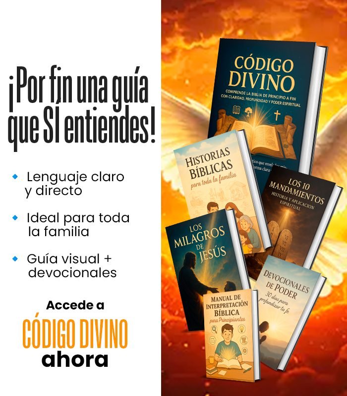 Por fin una guía que sí entiendes